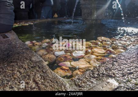 Caceres, Spagna - 20 gennaio 2024: Jarramplas Festival of Piornal, Caceres, Spagna. Tradizionale festa del lancio di rape Foto Stock