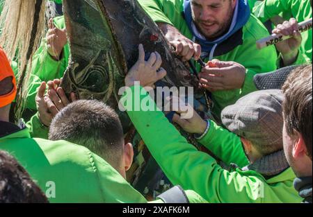 Caceres, Spagna - 20 gennaio 2024: Jarramplas Festival of Piornal, Caceres, Spagna. Tradizionale festa del lancio di rape Foto Stock