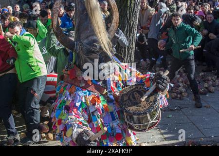 Caceres, Spagna - 20 gennaio 2024: Jarramplas Festival of Piornal, Caceres, Spagna. Tradizionale festa del lancio di rape Foto Stock