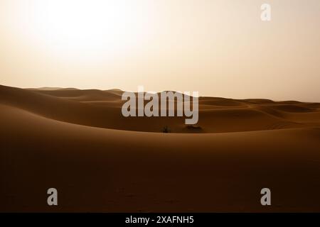 Le dune di sabbia si estendono fino a raggiungere l'occhio di Erg Chigaga, vicino a M'Hamid, Marocco, sul bordo occidentale del deserto del Sahara Foto Stock