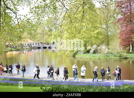 Keukenhof Garden, Hollande, 26 aprile 2024. il più grande parco di tulipani Foto Stock