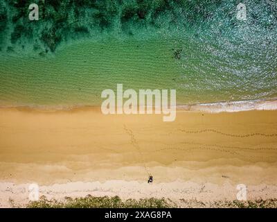 Vista dall'alto verso il basso di una spiaggia tropicale deserta e di un oceano caldo e poco profondo Foto Stock