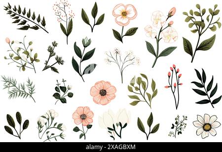 Una collezione di fiori disegnati di vario tipo Illustrazione Vettoriale