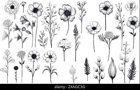 Una collezione di fiori disegnati di vario tipo Illustrazione Vettoriale