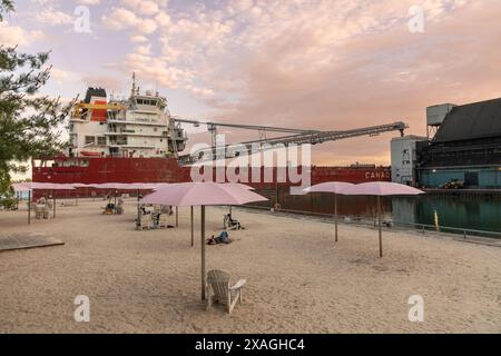 "MV Thunder Bay", un laker autoscaricante di classe Trillium, fa venire i visitatori di Sugar Beach sul lago Ontario sul lungomare di Toronto. Foto Stock