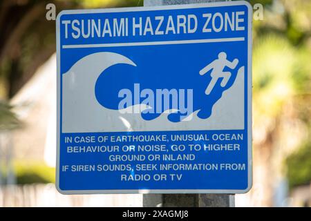 Cartello pericolo zona di pericolo tsunami Foto Stock