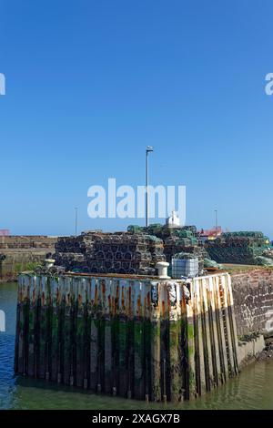 Le pentole di aragosta e granchio si accatastano sulla Breakwater interna al porto di Arbroath, con l'acqua nel porto molto bassa a causa di una marea primaverile. Foto Stock