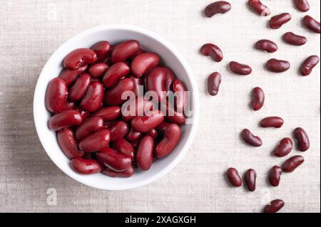 Fagioli in una ciotola bianca su tessuto di lino. Fagioli comuni cotti e in scatola, una varietà di fagioli comuni Phaseolus vulgaris. Foto Stock