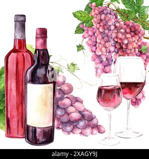 Bottiglie di vino rosso, uva, bicchieri di vino Foto Stock