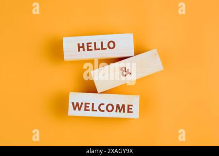 Simbolo commerciale concettuale. Copia spazio. Saluti e benvenuti, parole scritte con una frase concettuale su blocchi di legno adagiati su un bel tono uniforme Foto Stock