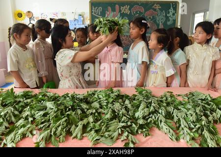 I bambini imparano le usanze popolari del Dragon Boat Festival nella città di Lianyungang, nella provincia cinese di Jiangsu, 4 giugno 2024. Foto Stock