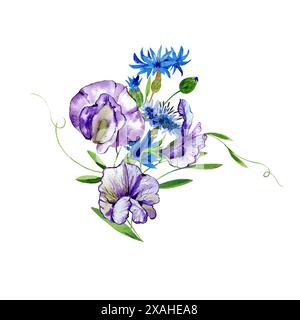 piselli dolci e fiori di mais in un bouquet con gemme e fogliame, disegnati in acquerello per Foto Stock