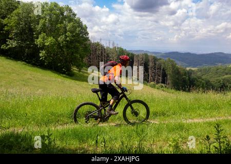 In mountain bike nell'Odenwald con vista sulla pianura del Reno, qui sul percorso circolare Birkenau nel parco Geo-Nature di Bergstraße-Odenwald Foto Stock