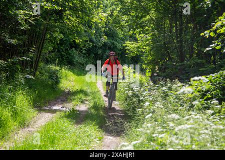 Escursioni in mountain bike nell'Odenwald, qui sul circuito di Birkenau nel Parco Geo-Nature di Bergstraße-Odenwald Foto Stock