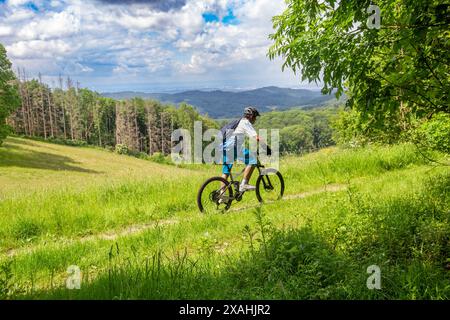 In mountain bike nell'Odenwald con vista sulla pianura del Reno, qui sul percorso circolare Birkenau nel parco Geo-Nature di Bergstraße-Odenwald Foto Stock