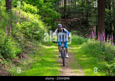 Escursioni in mountain bike nell'Odenwald, qui sul circuito di Birkenau nel Parco Geo-Nature di Bergstraße-Odenwald Foto Stock