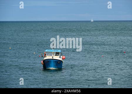 Barca da pesca fuori dal porto con yacht a vela in lontananza, Porthgain, Pembrokeshire, Galles, Regno Unito Foto Stock