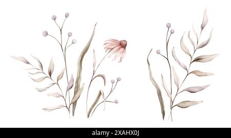 Set di rami botanici fantasia ad acquerello e fiori rosa chiaro. Illustrazione floreale lilla circul. Vibrazioni cadenti. Disegno dipinto a mano Foto Stock