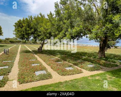 Gli ulivi (Olea europaea) sorgono tra ombre gettate su file di lastre tombe lapidi Graves of German Soldiers's Graves on part of German War Foto Stock