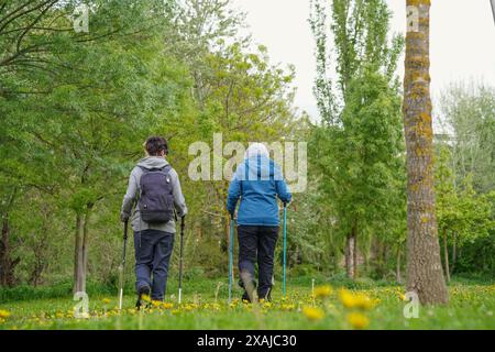 Vista posteriore di due persone che camminano in un parco fiorito. Vita sana Foto Stock