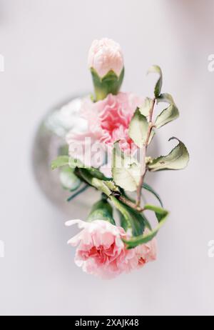 Vista dall'alto dei garofani rosa in un delicato vaso di vetro Foto Stock