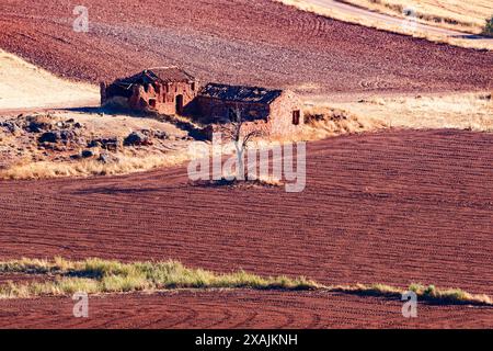 Campi a riposo e casa abbandonata in Alhambra Foto Stock