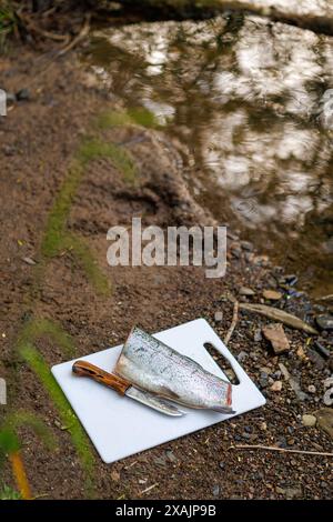 Un arcobaleno e un coltello giacciono sull'argilla sulle rive di un piccolo ruscello. Il pesce viene eviscerato pronto a cucinare sul fuoco del campo, Devon, Regno Unito. Foto Stock