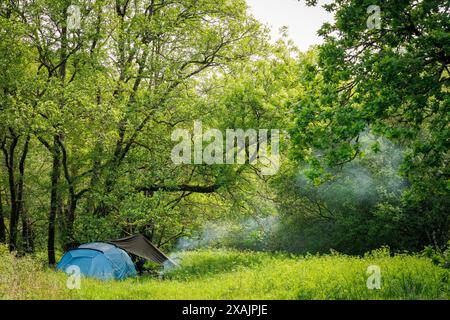 Il fumo di legno sorge dal fuoco di un campo selvaggio nel Devon, Regno Unito. Sono visibili una piccola tenda blu e una tela cerata. Foto Stock