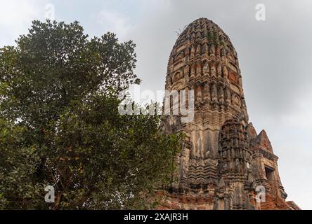 Una foto del prang centrale del Tempio Wat Chaiwatthanaram. Foto Stock