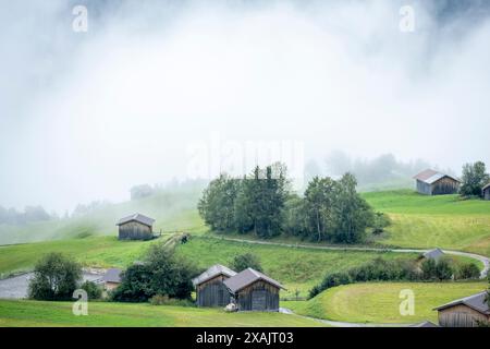 Austria, Serfaus-Fiss-Ladis, Fiss Wisps di nebbia dopo una doccia a pioggia. Foto Stock