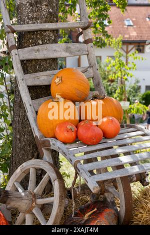 Austria, Serfaus-Fiss-Ladis, Serfaus, Pumpkins as decoration. Foto Stock