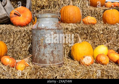 Austria, Serfaus-Fiss-Ladis, zucche, Serfaus. Foto Stock