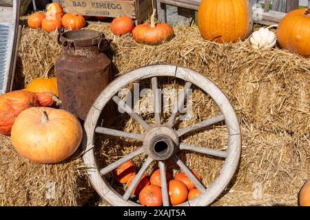 Austria, Serfaus-Fiss-Ladis, Serfaus, Pumpkins as decoration. Foto Stock