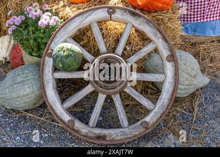 Austria, Serfaus-Fiss-Ladis, vecchia ruota. Foto Stock