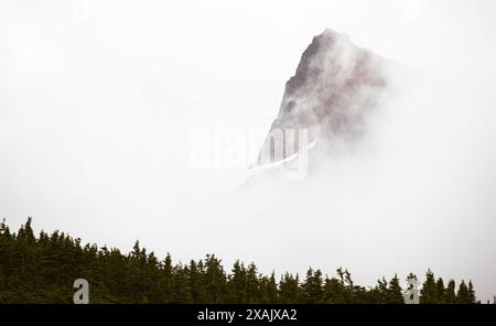 Echo Rock avvolto nella nebbia sotto il Mount Rainier National Park Foto Stock