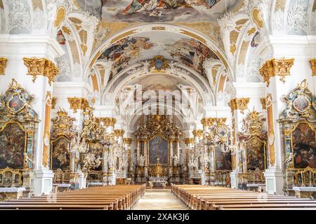 Interno della Studienkirche Mariä Himmelfahrt a Dillingen an der Donau, Baviera, Germania Foto Stock