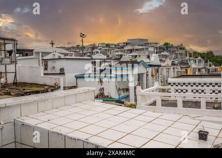 Famoso cimitero, molti mausolei o grandi tombe decorate con piastrelle, spesso in bianco e nero. Edifici densamente costruiti sotto il tramonto Cimetiere de Morne-a-l'eau, Grand Terre, Guadalupa, Caraibi Foto Stock