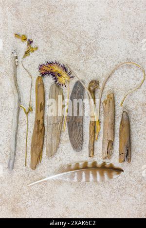 Una moltitudine di oggetti provenienti dalla natura, dalla spiaggia, dalla deriva, dal trifoglio Foto Stock