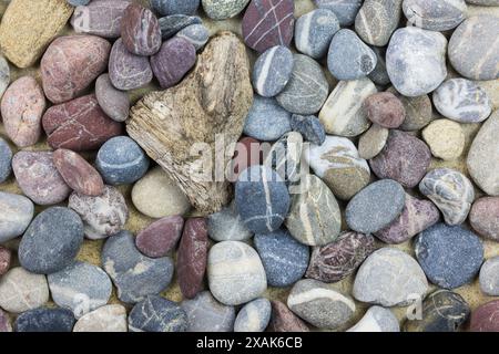 Collezione di oggetti trovati sulla spiaggia, natura morta Foto Stock