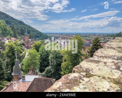 Europa, Germania, Baden-Württemberg, Heidelberg, Vista dal Castello di Heidelberg Foto Stock