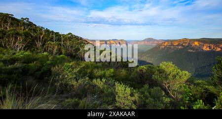 Ammira le scogliere e le lussureggianti valli del Blue Mountains National Park dal Pulpit Rock Lookout nel New South Wales, Australia Foto Stock