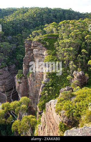 Ammira le scogliere e le lussureggianti valli del Blue Mountains National Park dal Pulpit Rock Lookout nel New South Wales, Australia Foto Stock