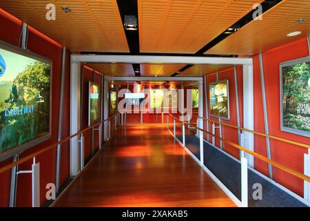 Hallway of Scenic World, una famosa attrazione turistica del Blue Mountains National Park, New South Wales, Australia Foto Stock