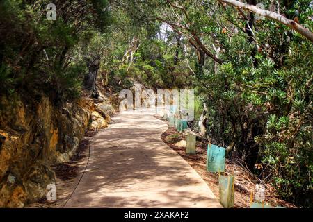 Prince Henry Cliff cammina da Katoomba alla formazione rocciosa delle tre Sorelle nel Blue Mountains National Park, New South Wales, Australia Foto Stock