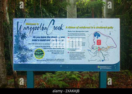 Central Station, l'ex centro dell'industria forestale nel cuore della foresta pluviale di Fraser Island, la più grande isola di sabbia del mondo Foto Stock