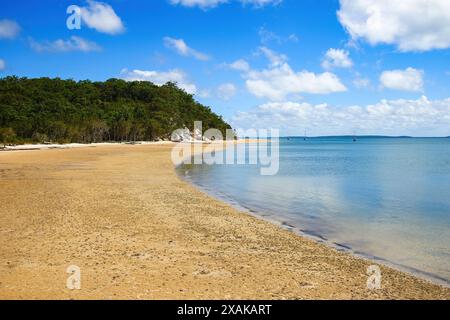 Spiaggia di Kingfisher Bay sulla costa occidentale di K'gari (Fraser Island) nel Queensland, Australia - Spiaggia sabbiosa con bassa marea nel Great Sandy Strait Foto Stock