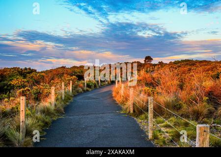 Sentiero vicino alla gola di Loch Ard nel Parco Nazionale Marino dei dodici Apostoli lungo la Great Ocean Road a Victoria, Australia Foto Stock