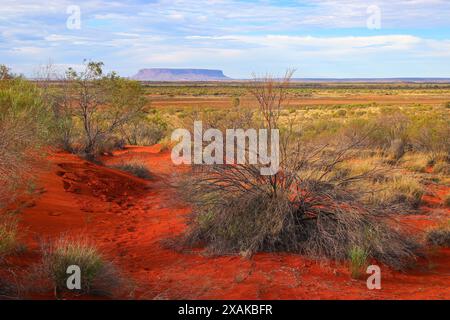 Monte Conner alias Fooluru nelle pianure desertiche del Red Center of Australia nel territorio del Nord - piatto inselberg in arenaria per erosione, Foto Stock