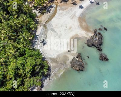Nord America, Caraibi, grandi Antille, isola di Hispaniola, Repubblica Dominicana, Samana Peninsula, Las Terrenas, vista dall'alto dei turisti sulla spiaggia Playa Bonita Foto Stock