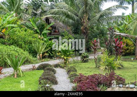 Nord America, Caraibi, grandi Antille, isola di Hispaniola, Repubblica Dominicana, Samana Peninsula, El Limon, Giardino tropicale presso il Samana Eco Lodge Foto Stock